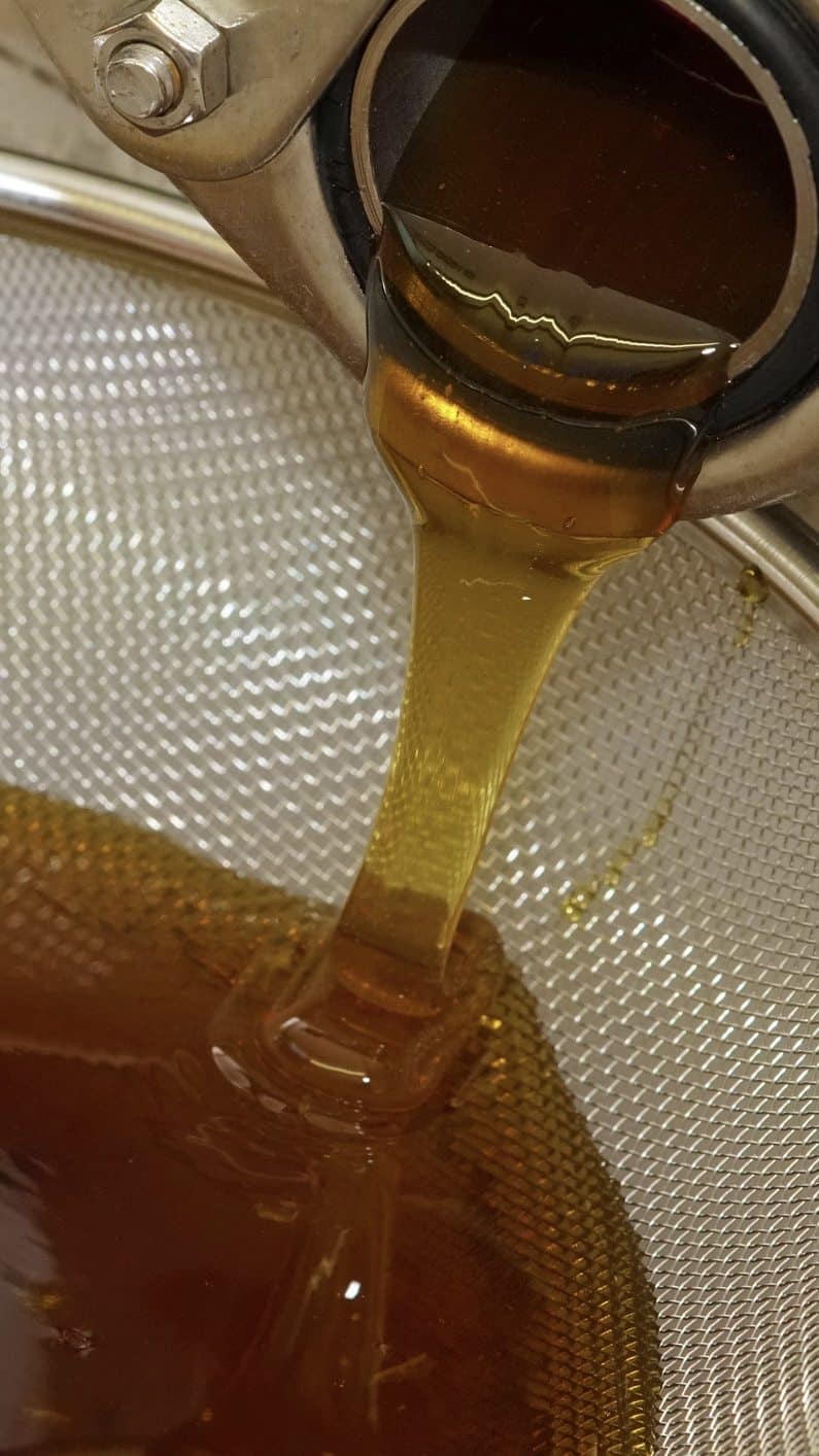 Raw honey being strained