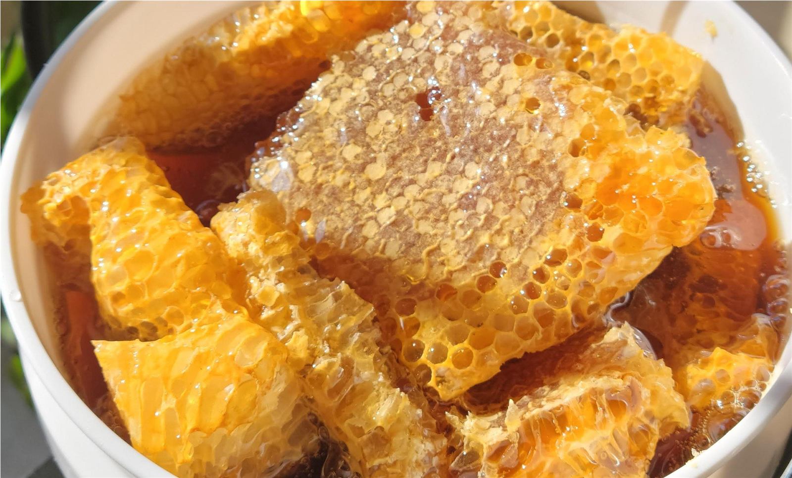 Queens Hive raw honeycomb